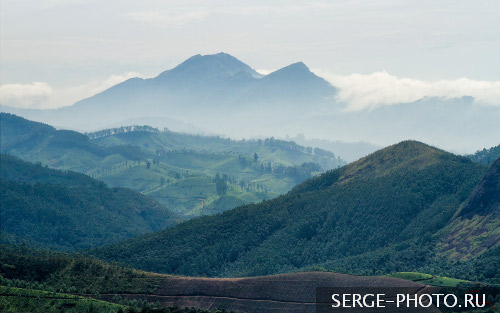 Anaimalai Hills