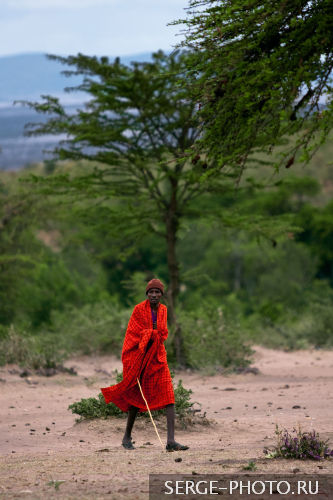 Maasai

According to Maasai beliefs, 